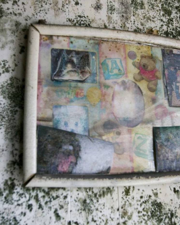 A picture frame on a wall covered in mold
