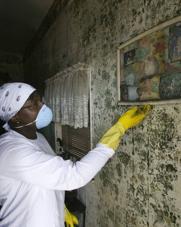 A worker in protective gear cleans a moldy wall