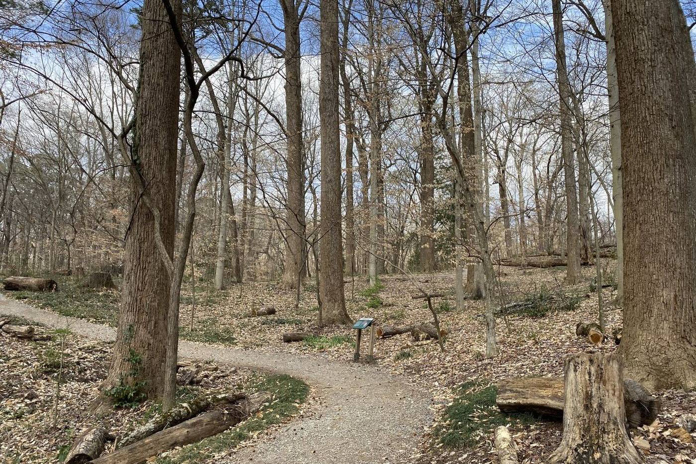 Gravel trail through Fernbank Forest in Atlanta