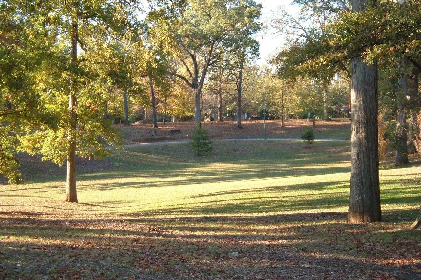 Sunny lawn under tall trees in Grant Park, Atlanta
