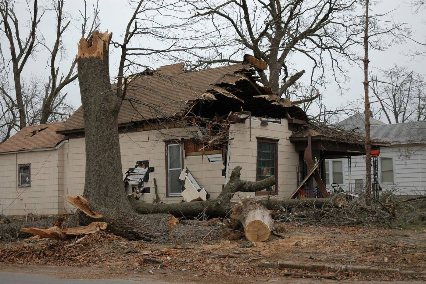A snapped tree trunk and a crushed roof after a storm